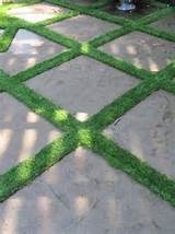 Yard Grass Designs Pictures