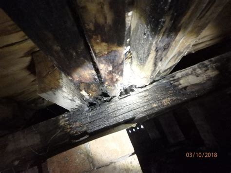 All pest and termite eradication are here to provide you with detailed, quality reports. Building & Pest Inspection Experts Newcastle & Central Coast