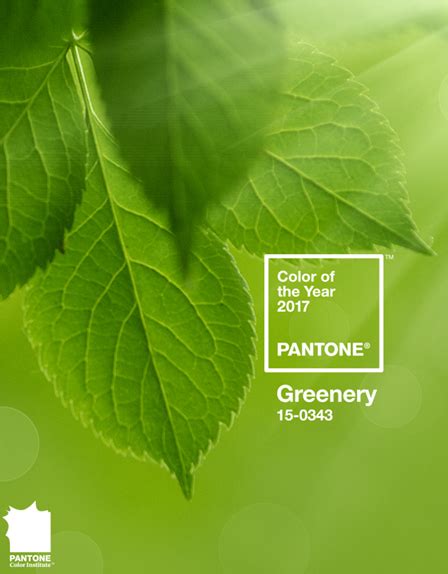 Pantone Colour Of The Year 2017 Its Got To Be Greenery