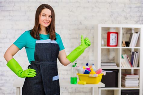 Housekeeper Empleada Del Hogar Empleada Domestica Empleada Para Casa De
