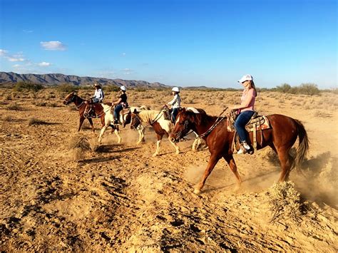 Join Us For A Morning Ride Koli Equestrian Center Phoenix Horseback