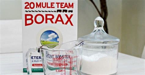 Check spelling or type a new query. DIY Ant Killer that Really Works! | Hometalk