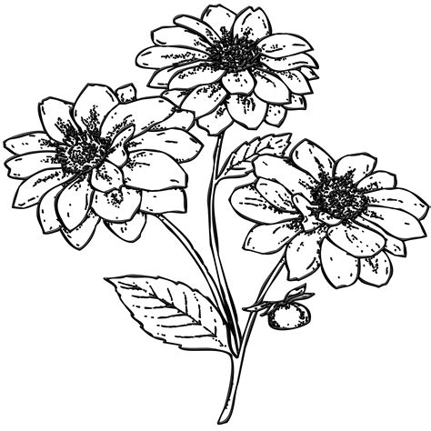 12 tutorials of how to do flower drawing easy with pictures step by step. Garden flowers drawing free image