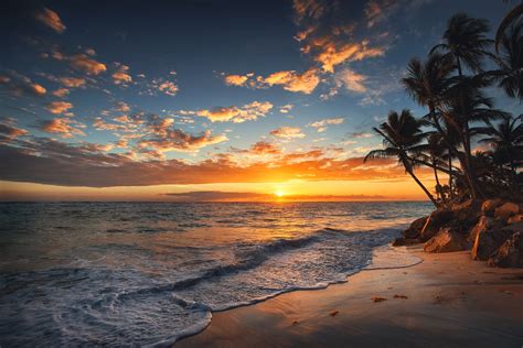 Hawaii Sunrise Waves Palms Sea Sands Ocean Photos Cantik