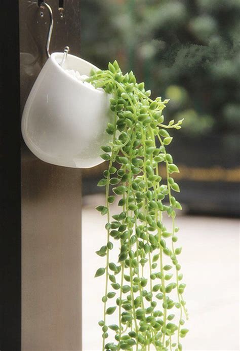 4.5 out of 5 stars. Modern Planters - Hang Your Plants From The Ceiling ...