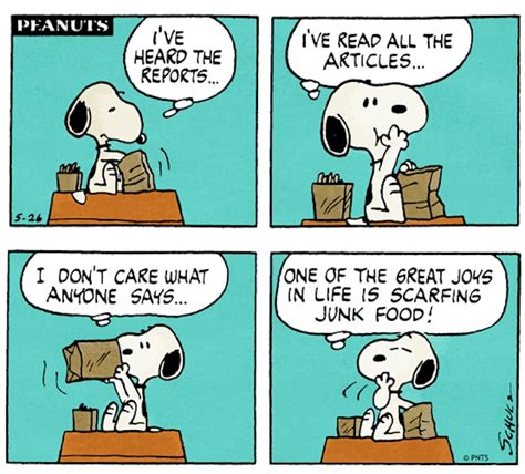 7 Reasons Snoopy Is The Best Representation Of A Beagle