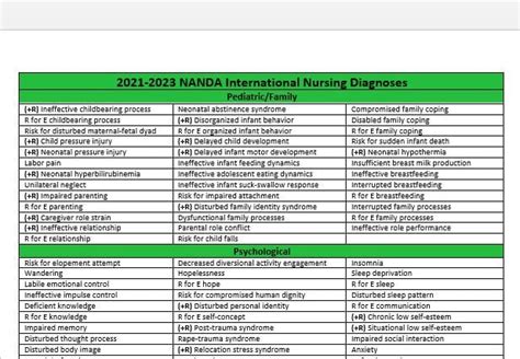 2021 2023 Nanda Organized List Categorized Nursing Diagnosis Etsy