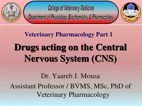 Pdf Drugs Acting On The Central Nervous System Cns