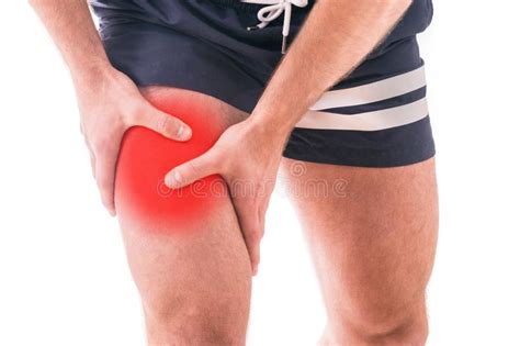 The quadriceps femoris muscle ( also called the quadriceps extensor, quadriceps or quads) is a large muscle group that includes the four prevailing muscles on the front of the thigh. QUADRİCEPS(ÖN UYLUK) YARALANMASI,TEDAVİSİ ve EGZERSİZLERİ