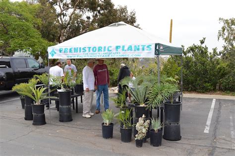 San Diego Botanical Garden Palm And Tropical Plant Sale