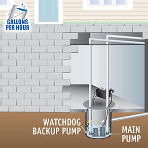 Answer questions, earn points and help others. Basement Watchdog Big Dog CONNECT | Basement Watchdog