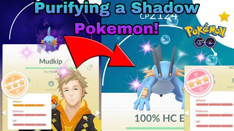 Hp and stamina are two different numbers, niantic nonetheless, if having the absolute best pokemon is critical to you, this tool will help you find the hidden iv values that your pokemon has so you can. Purifying a Shadow Pokemon into a 100% IV in Pokemon GO ...