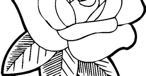 rosas para dibujar : rosas para dibujar