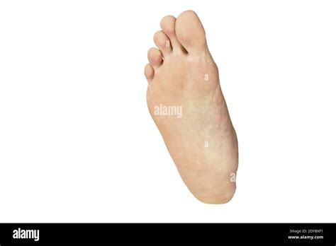 Human Foot Sole On White Background Stock Photo Alamy