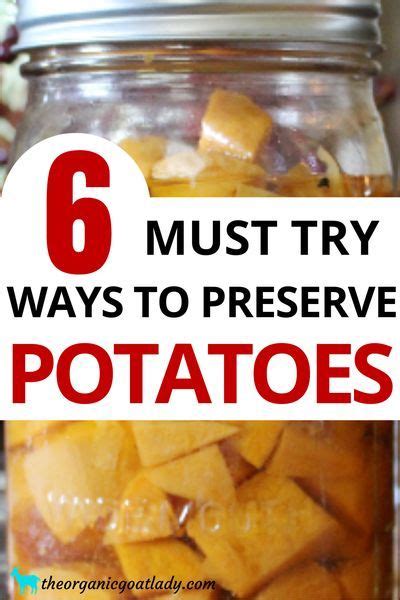 6 Ways To Preserve Potatoes The Organic Goat Lady Food Canning