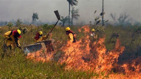 Los Incendios Forestales En Bolivia Devastan La Mayor Reserva Ecológica