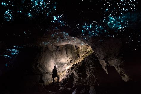 New zealand's most interesting maggots are not only found in the caves with a price tag. A Magical Underground World - Exploring Glowworm Caves in ...
