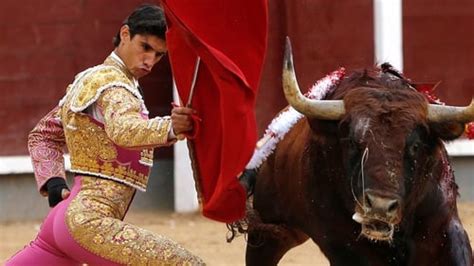 Spanish Bullfighter Killed After Goring In Ring