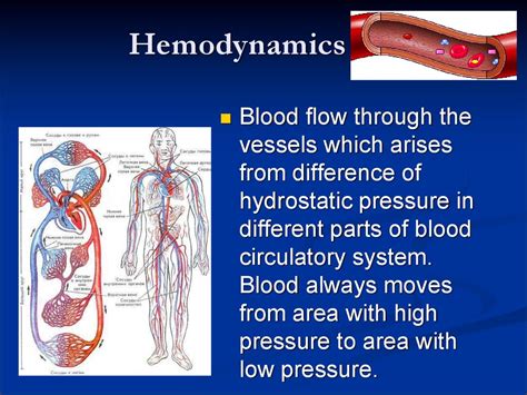 Basis Of Hydro And Hemodynamics презентация онлайн