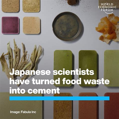 Food Waste Transformed Into Cement By Japanese Researchers World