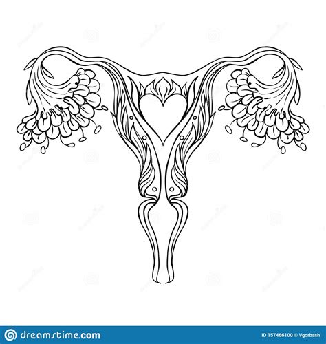 Decorative Drawing Of Female Reproductive System With Flowers Hand