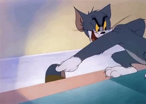 Tom And Jerry Mouse GIF Tom And Jerry Mouse Bumped GIFs Entdecken