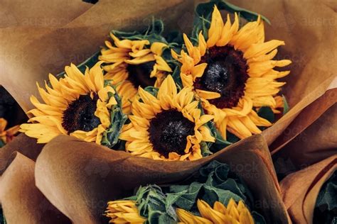 Flower bouquet diy bouquet wrap paper bouquet diy single flower bouquet food bouquet bouquet box protea bouquet orchid bouquet hydrangea bouquet. Image of Bouquet of sunflowers wrapped in brown paper ...