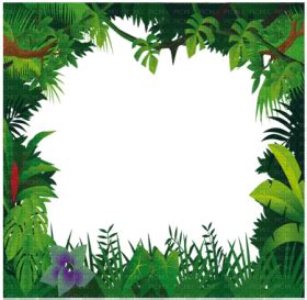 reen leaves clipart jungle leaf - green leaf transparent background PNG