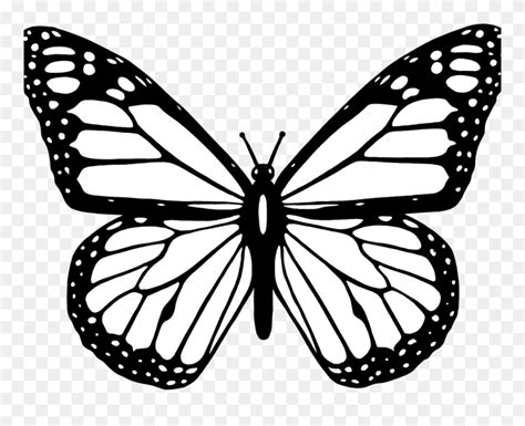 Coloring is the application of colors on a surface that is done through many ways. Beautiful Butterfly Clipart Black And White - Monarch Butterfly Coloring Pages - Png Download ...