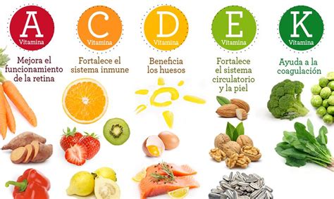 Las vitaminas y su función en el cuerpo Vitafarma