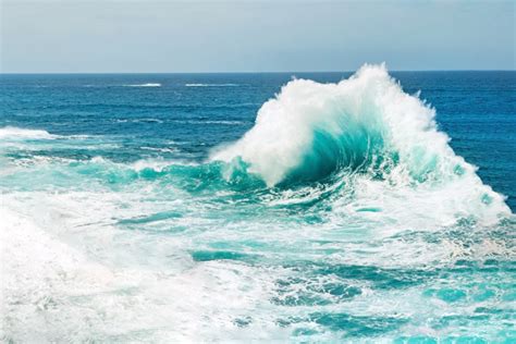 What Is A Backwash Wave And How Does It Form Blog Do Vitor Olig