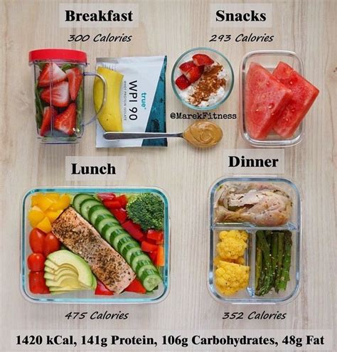High volume meal under 300? 1420 Calories Low Carb High Protein Day by @marekfitness ...