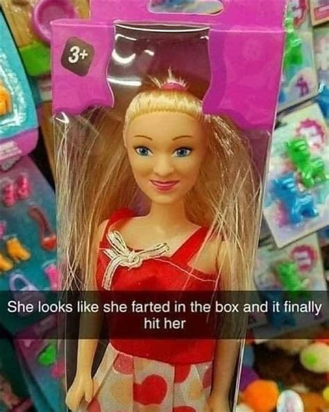 your funny barbie doll dump a day