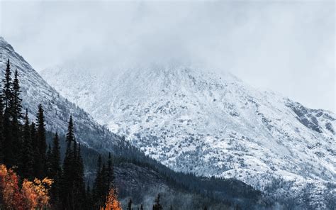 Download Wallpaper 3840x2400 Mountain Peak Snow Forest Trees