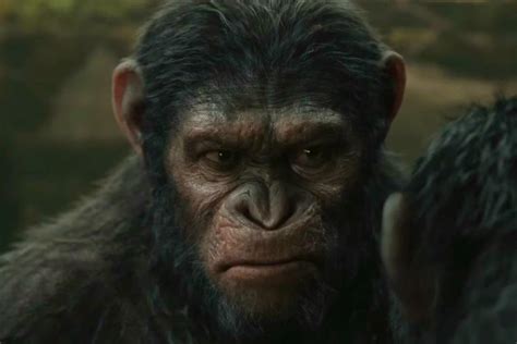 E nós não estamos nele. Assista ao último trailer do novo 'Planeta dos Macacos ...