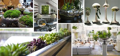 Indoor Gardening Ideas To Beautify Your Space Decoist