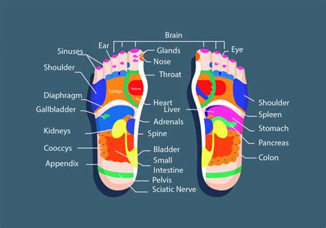 Reflexology Craniosacral Care Belfast