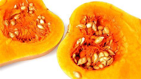 Typically, this is a plant that you should start. Spaghetti Squash Seeds For Planting - Squash Choices