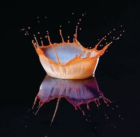 The Magnificence Of High Speed Photography 40 Pics