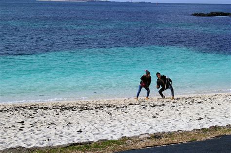 The reason why must go to the Jeju Island? Udo Island is right in there