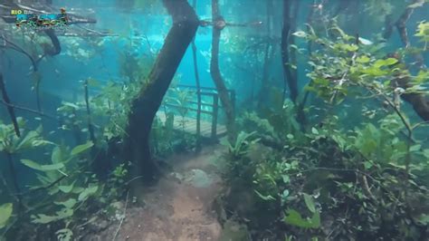 Flooding Of Crystal Clear River Turns Brazilian Rainforest Into A