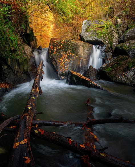 The Tears Of Autumn Photograph By Cosmin Stan Fine Art America