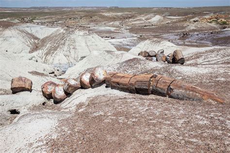 Petrified Forest National Park Travel Guide And Itinerary World Travel