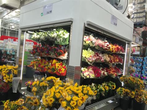 Maybe you would like to learn more about one of these? COSTCO FLOWERS | Prices | Occasions | Order Information