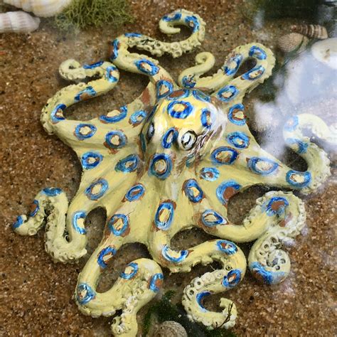 Octopus Sculpture Blue Ringed Octopusresin Art Octopus Handmade Art