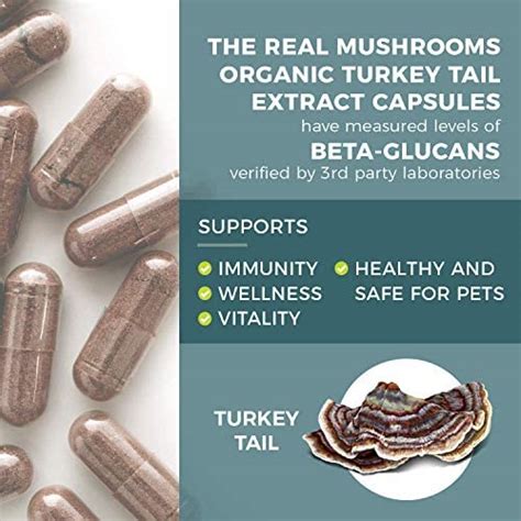 real mushrooms ergothioneine 60ct and turkey tail 90ct bundle with shiitake and oyster