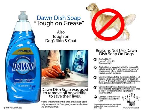 Handmade natural soaps are perfect for humans,but these can be very harmful for cats. Can You Use Dish Soap To Wash A Dog - http://pets-ok.com ...