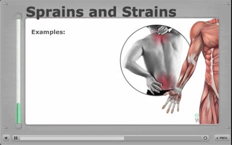 (hons) mm students 5 industrial training activities and phases are as follows: Industrial Ergonomics Online Training - YouTube