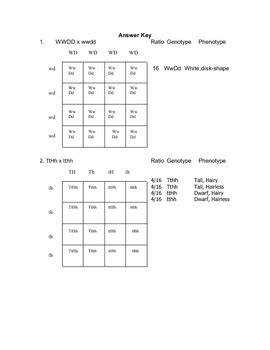 Punnett 10 100 blank recipe pages pdf is available on print and digital edition for free. Dihybrid Cross Worksheet by Goby's Lessons | Teachers Pay Teachers