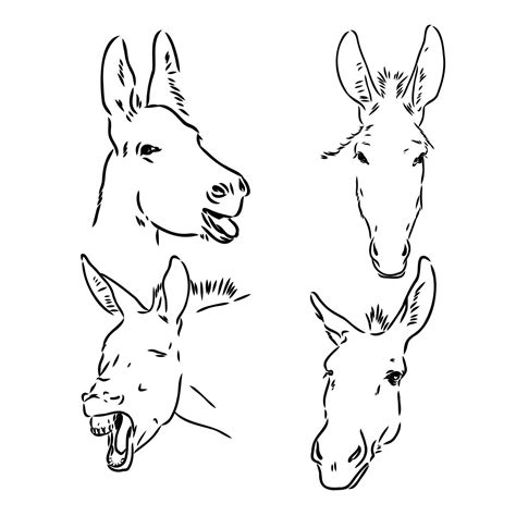 Donkey Vector Sketch 36439442 Vector Art At Vecteezy